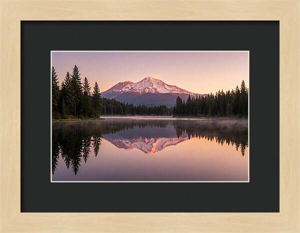Mount Shasta Reflected In Morning Light