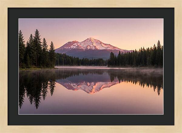 Mount Shasta Reflected In Morning Light