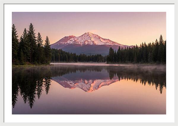 Mount Shasta Reflected In Morning Light