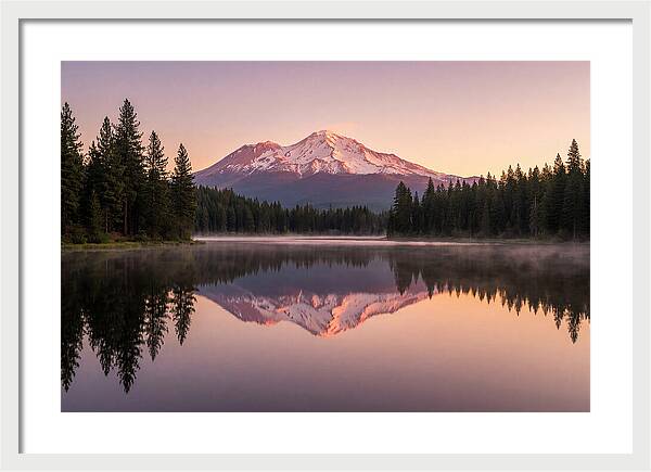 Mount Shasta Reflected In Morning Light
