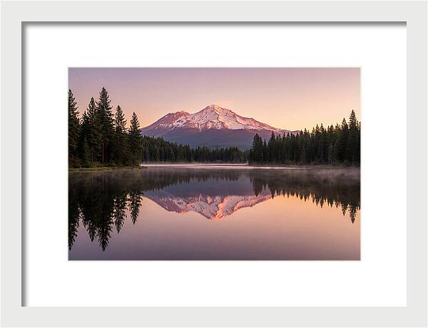 Mount Shasta Reflected In Morning Light