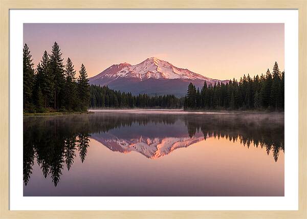 Mount Shasta Reflected In Morning Light