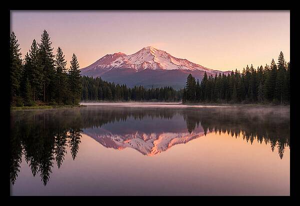 Mount Shasta Reflected In Morning Light