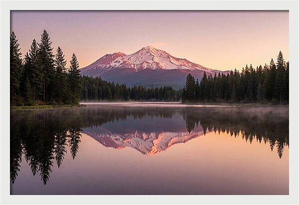 Mount Shasta Reflected In Morning Light