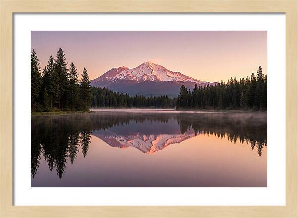 Mount Shasta Reflected In Morning Light