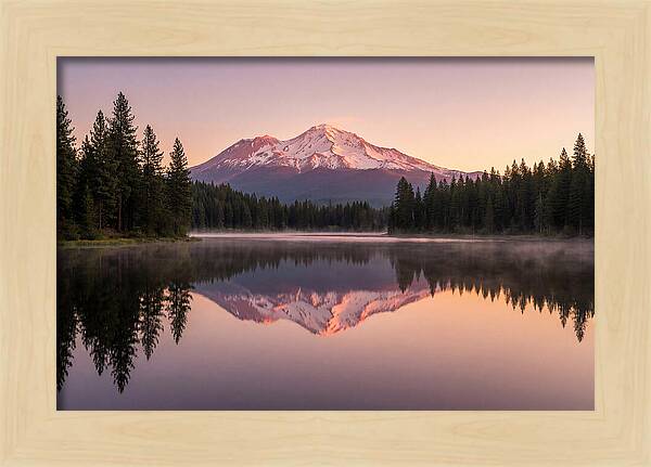 Mount Shasta Reflected In Morning Light