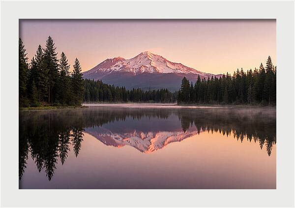 Mount Shasta Reflected In Morning Light