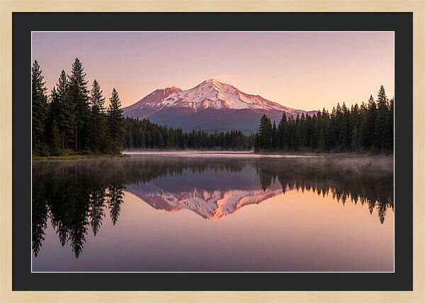 Mount Shasta Reflected In Morning Light