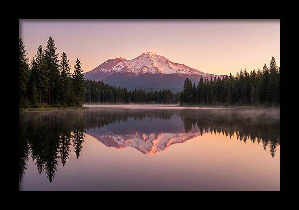 Mount Shasta Reflected In Morning Light