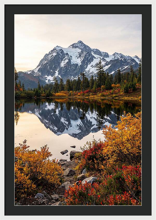Mount Shuksan Reflected In Autumn
