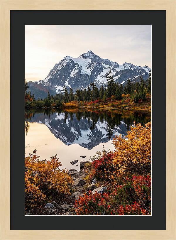 Mount Shuksan Reflected In Autumn