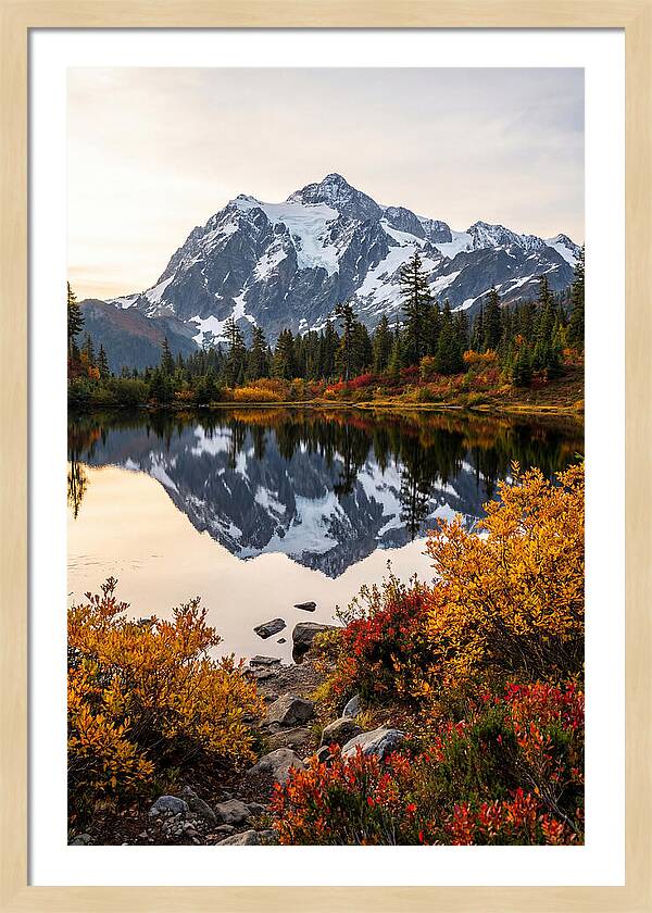 Mount Shuksan Reflected In Autumn