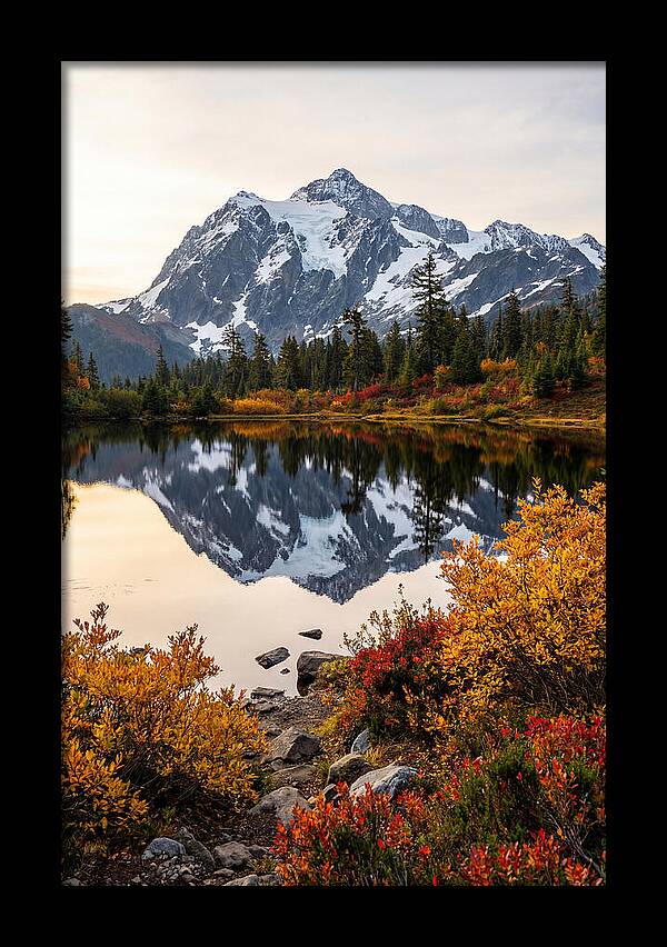Mount Shuksan Reflected In Autumn