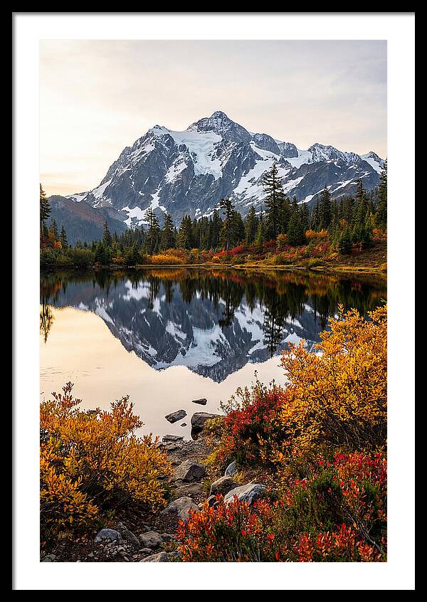 Mount Shuksan Reflected In Autumn