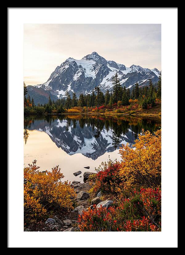 Mount Shuksan Reflected In Autumn