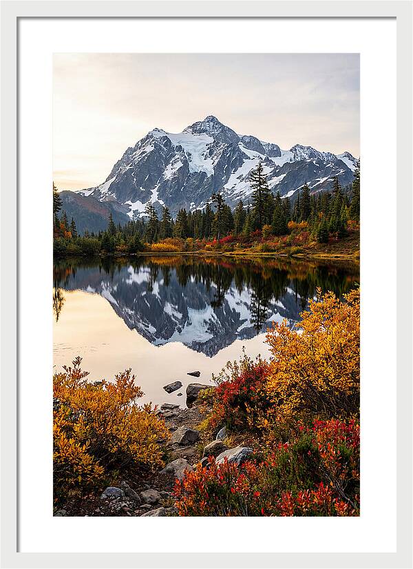 Mount Shuksan Reflected In Autumn