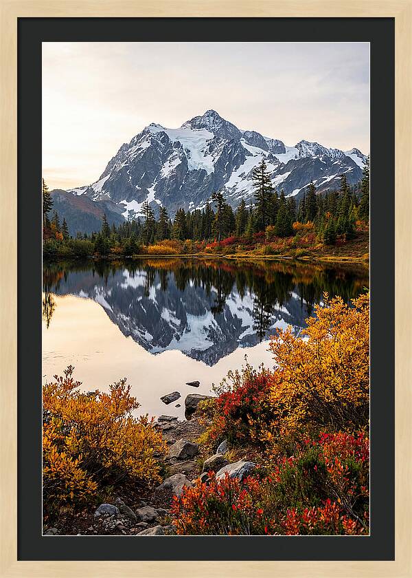 Mount Shuksan Reflected In Autumn