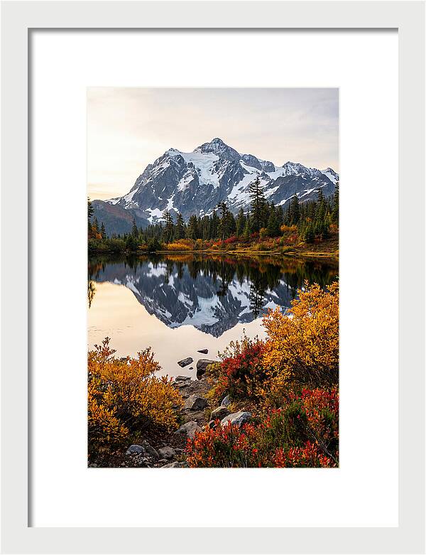 Mount Shuksan Reflected In Autumn