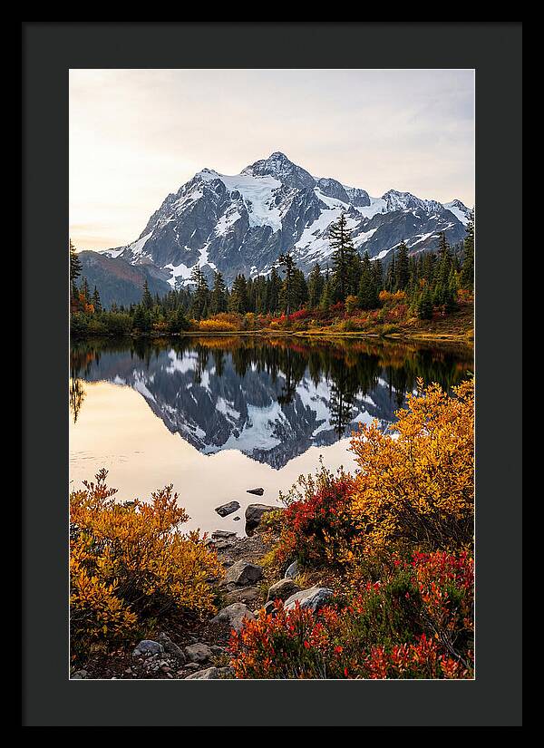 Mount Shuksan Reflected In Autumn