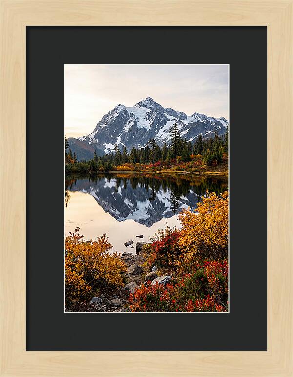 Mount Shuksan Reflected In Autumn