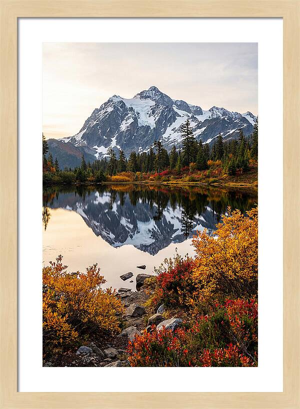 Mount Shuksan Reflected In Autumn