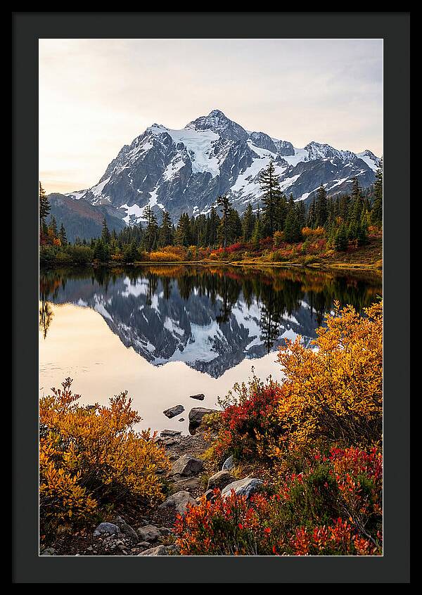 Mount Shuksan Reflected In Autumn