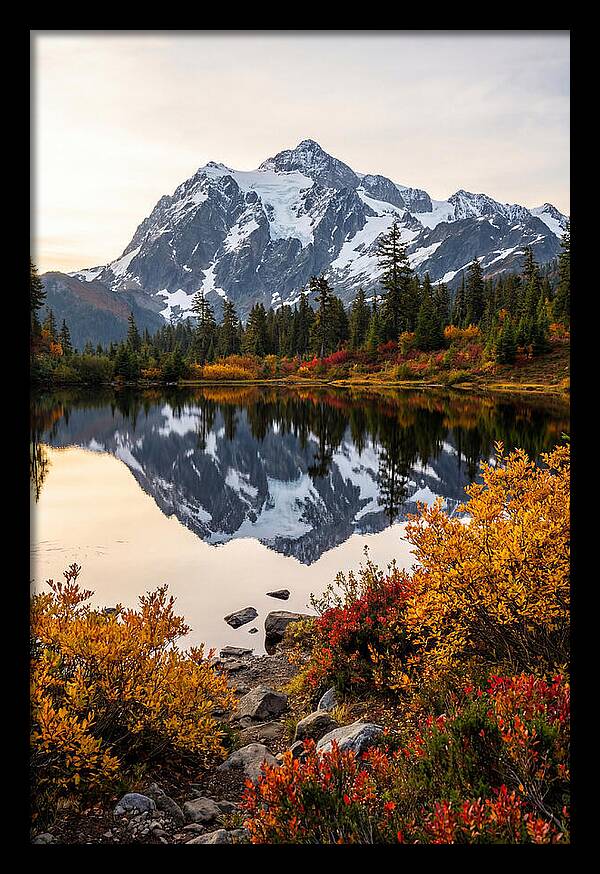Mount Shuksan Reflected In Autumn