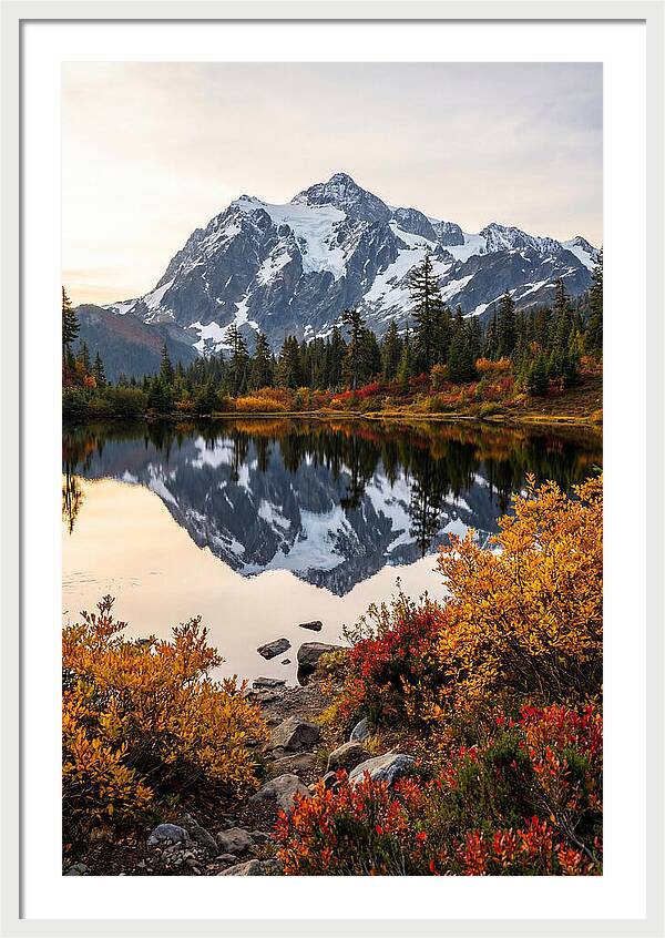 Mount Shuksan Reflected In Autumn