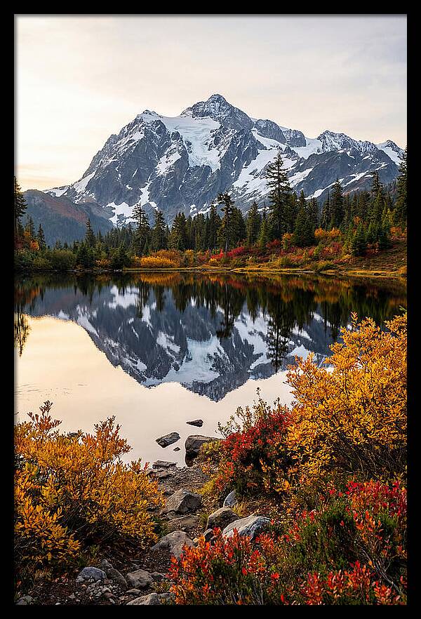 Mount Shuksan Reflected In Autumn