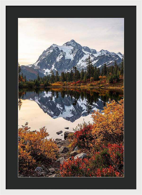 Mount Shuksan Reflected In Autumn