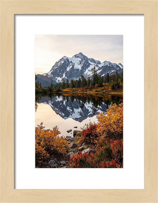 Mount Shuksan Reflected In Autumn