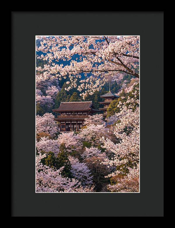 Mount Yoshino Cherry Blossoms In Full Bloom