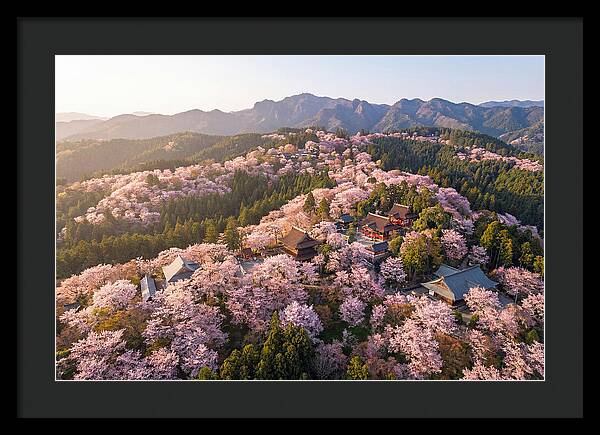 Mount Yoshino In Full Bloom