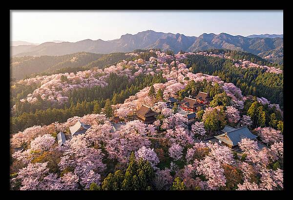 Mount Yoshino In Full Bloom