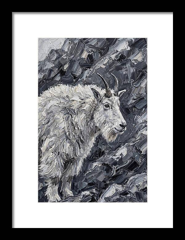 Mountain Goat Among Rocks