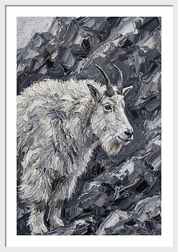Mountain Goat Among Rocks