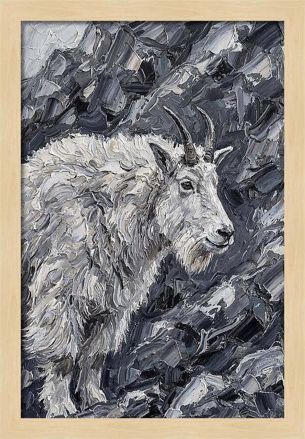 Mountain Goat Among Rocks
