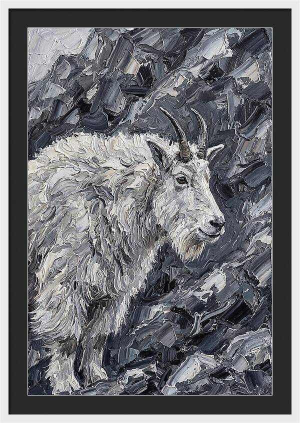 Mountain Goat Among Rocks