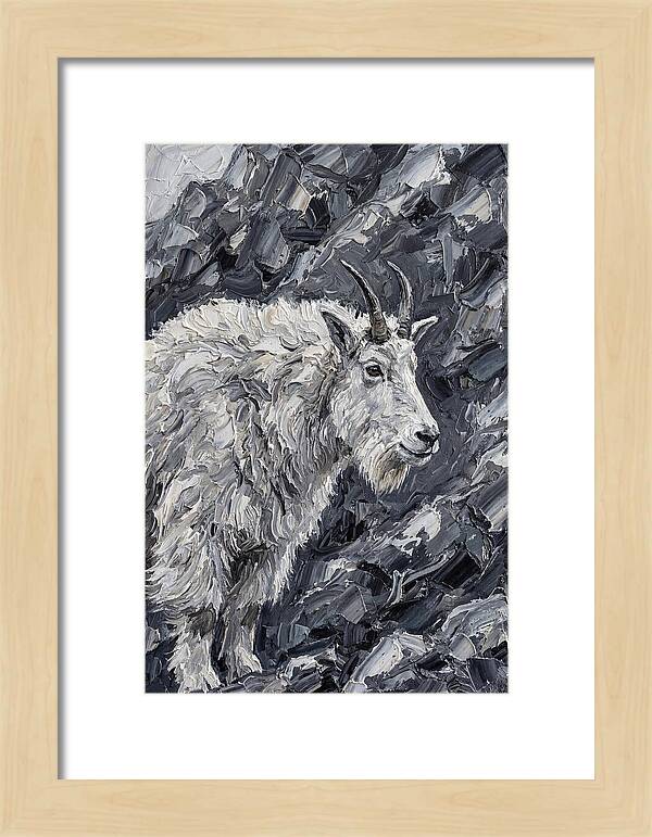 Mountain Goat Among Rocks