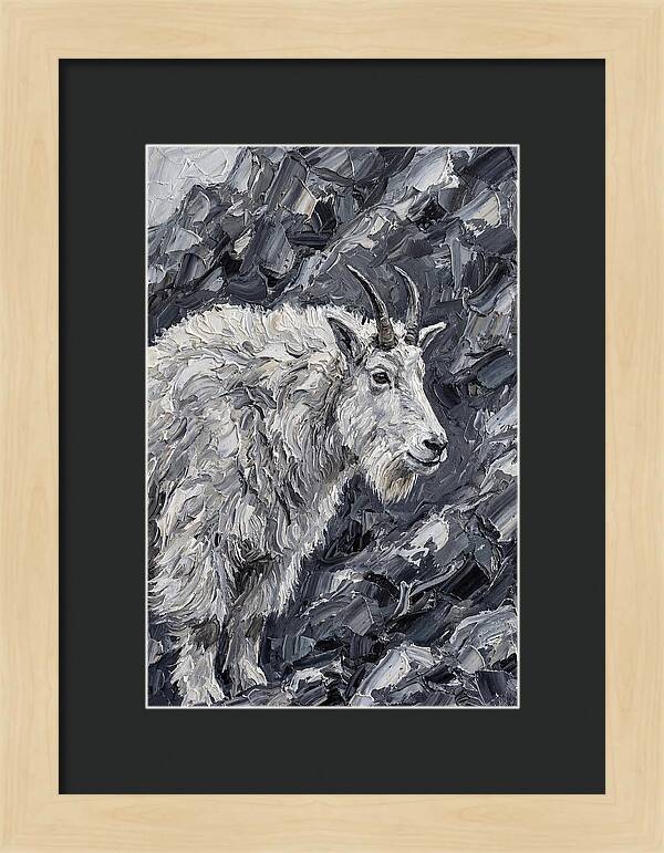 Mountain Goat Among Rocks