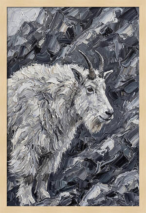 Mountain Goat Among Rocks