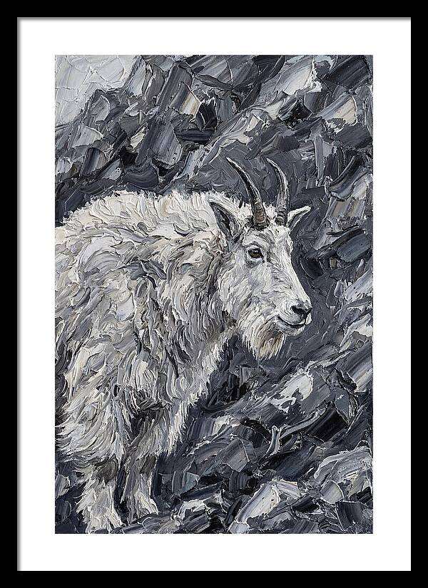 Mountain Goat Among Rocks