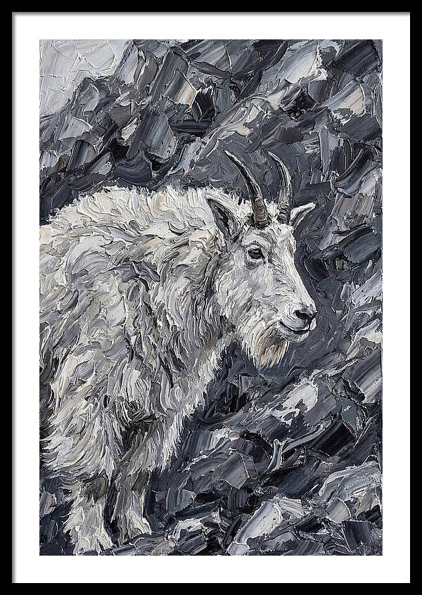 Mountain Goat Among Rocks