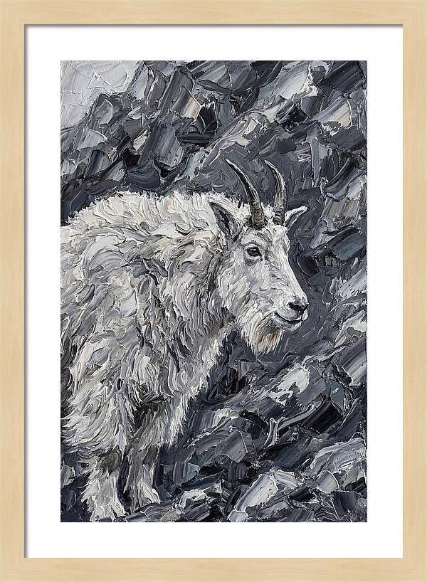 Mountain Goat Among Rocks