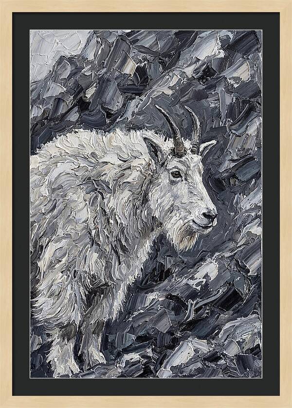 Mountain Goat Among Rocks