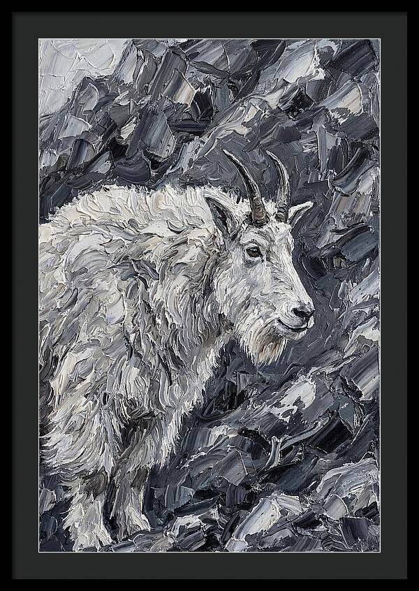 Mountain Goat Among Rocks