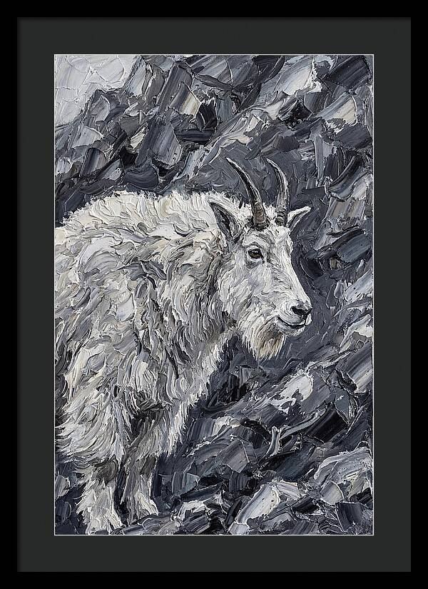 Mountain Goat Among Rocks