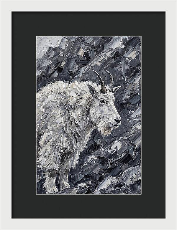 Mountain Goat Among Rocks