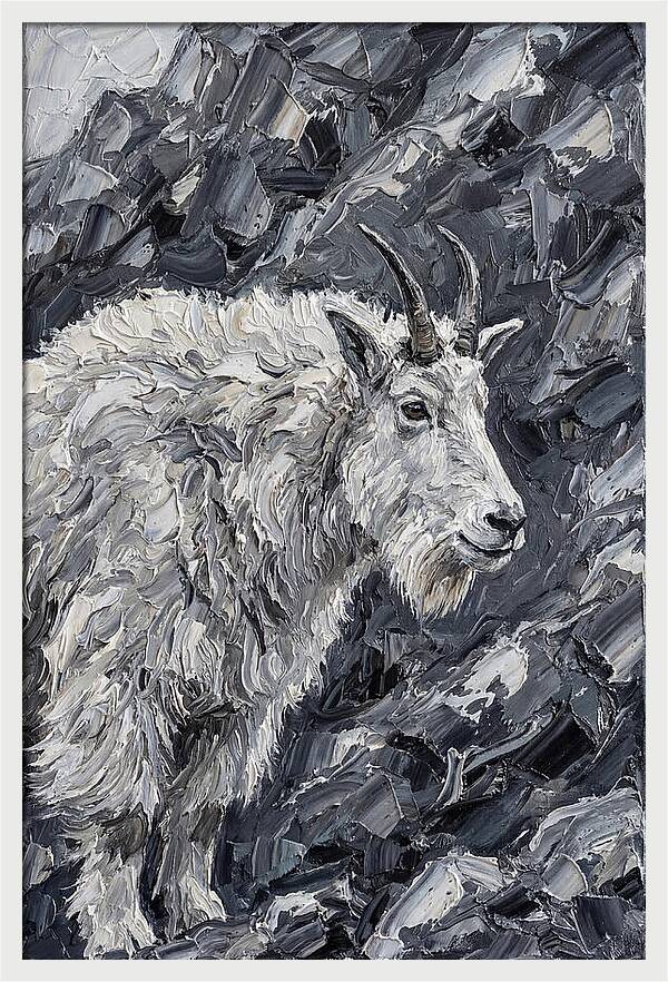 Mountain Goat Among Rocks