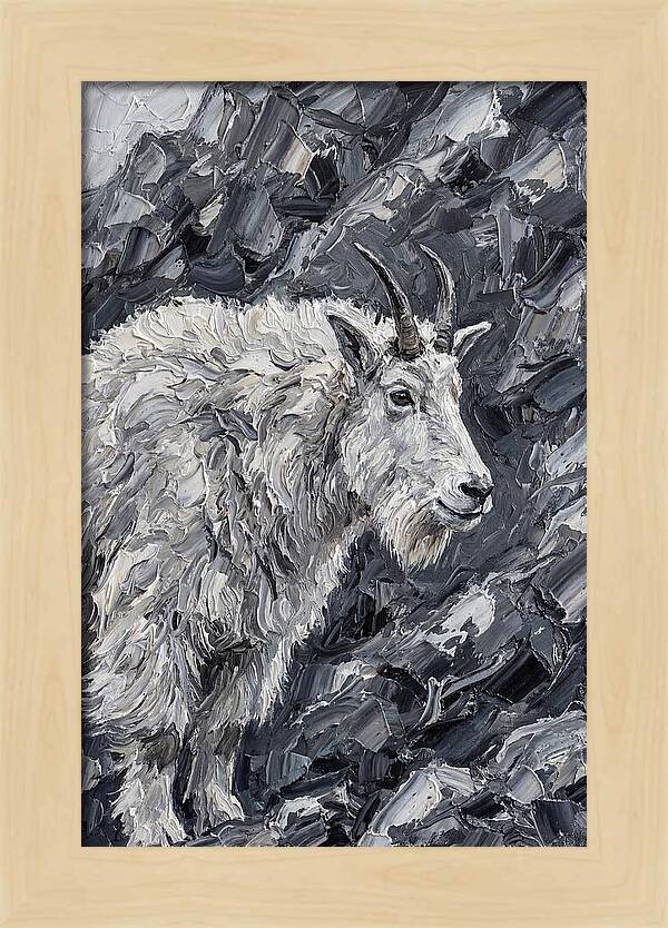 Mountain Goat Among Rocks